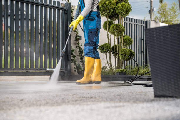 Best Local Pressure Washing Services  in Black Creek, WI