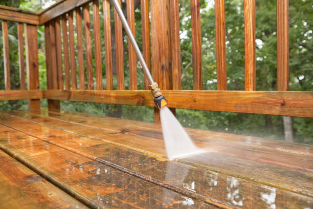 Best Deck Cleaning Services  in Black Creek, WI
