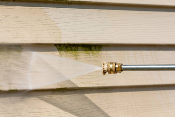 Best Pressure Washing Near Me  in Black Creek, WI