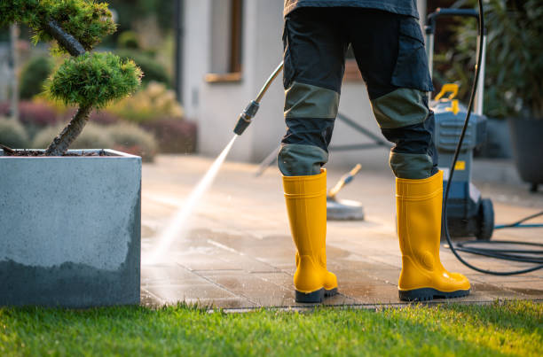 Best Sidewalk Pressure Washing  in Black Creek, WI